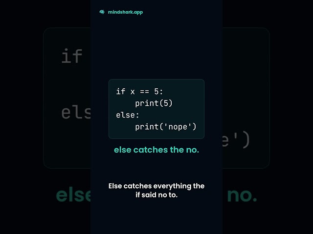Python if statement explained (lesson 3 in 25 seconds)