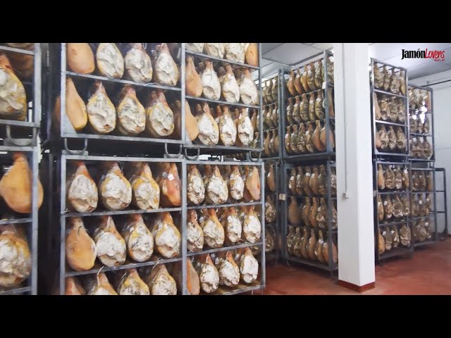 Elaboración jamón - Secadero Natural: #QuédateEnCasaConJamónLovers 🐽❤️🏠