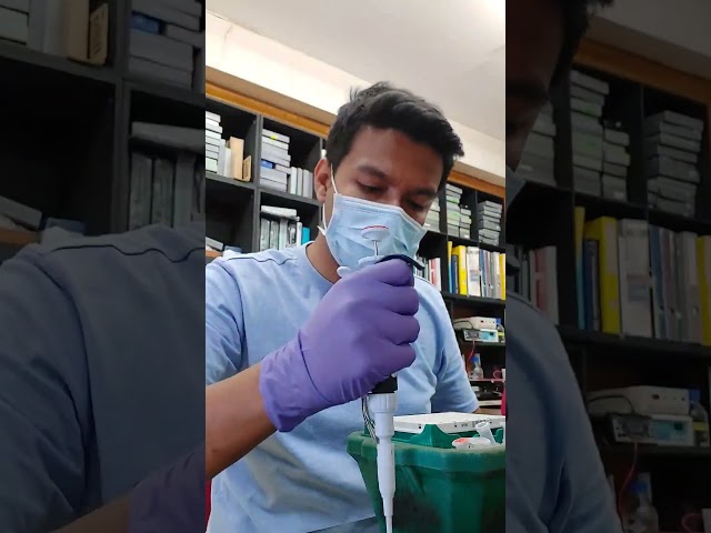 snippet of a work day in the life of an Indian PhD scholar