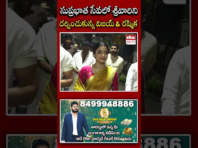 సుప్రభాత సేవలో శ్రీవారిని దర్శించుకున్న విజయ్ & రష్మిక.#vijaydevarakonda #rashmikamandanna #ehatv