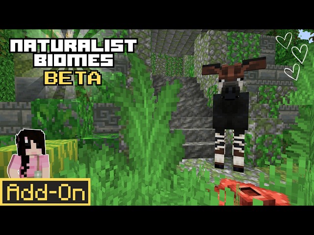🌺 Exploring the Tropical Rainforest! Okapi | Naturalist Biomes Beta