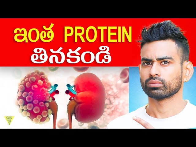 Best Vegetarian Protein Foods  ఎలా మరియు ఎంత ప్రోటీన్ తినాలి  | Fit Tuber Telugu