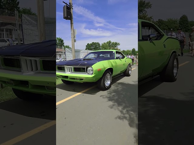 All you want in a classic