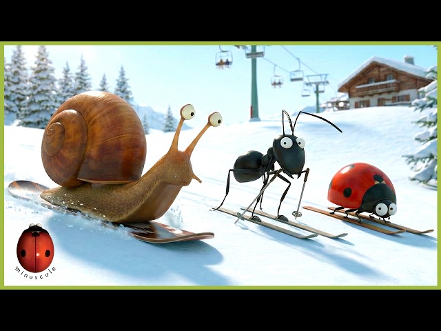 Snow Carrot | Minuscule | 20' Compilation