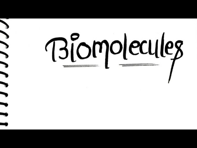  Class 11 Biology – Handwritten Notes of "Biomolecules" 🌺☘️ @Class11and12th 