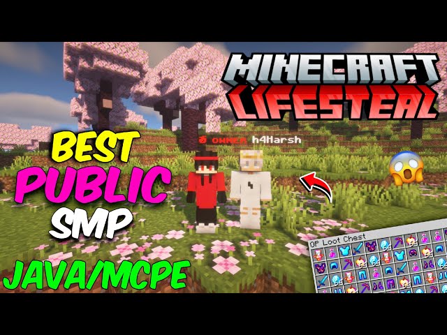 💫 New Best Lifesteal Public Smp Server Minecraft 💘 | Java + PE | 24/7 Online | Free To Join 💤 