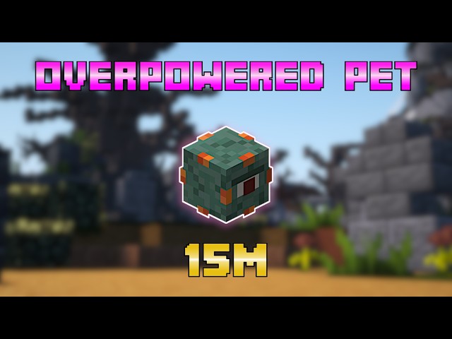 This CHEAP Pet Does INSANE Damage In Hypixel Skyblock