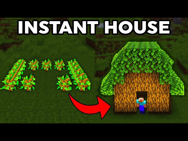 Minecraft Facts I Can't Live Without