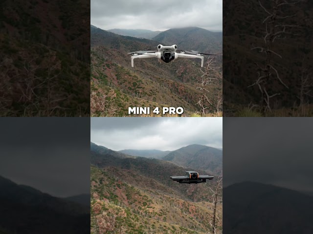 Can you guess which is which? #mini4pro #avata2 #drone
