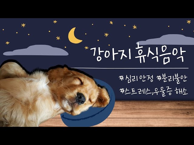 10 HOURS of Deep Separation Anxiety Music for Dog Relaxation. Deep Sleep Relaxing Dog Music