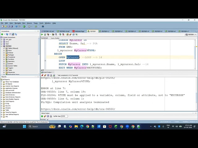 PL/SQL TRAINING CURSORS : LOOPS