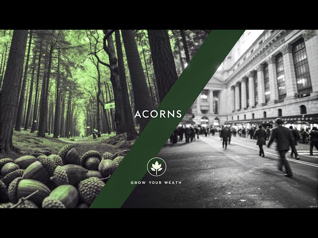 Invest Using Acorns! Make Money Today!