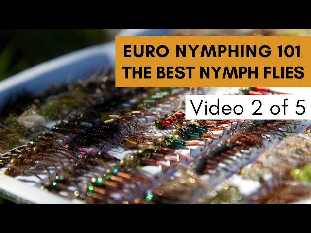 Best Euro Nymphing Flies (Euro Nymphing 101)