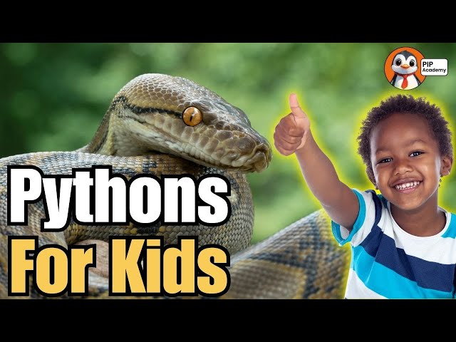 All About Pythons: Amazing Snake Facts for Kids! 🐍