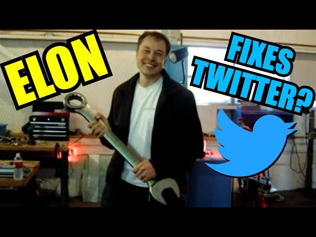 Elon on AI, World Government and Tool Reviews | Tweets of the Week
