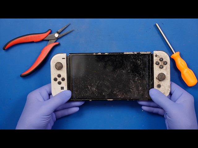 Nintendo Switch Lost Outside for a YEAR! It Was BAD Inside!