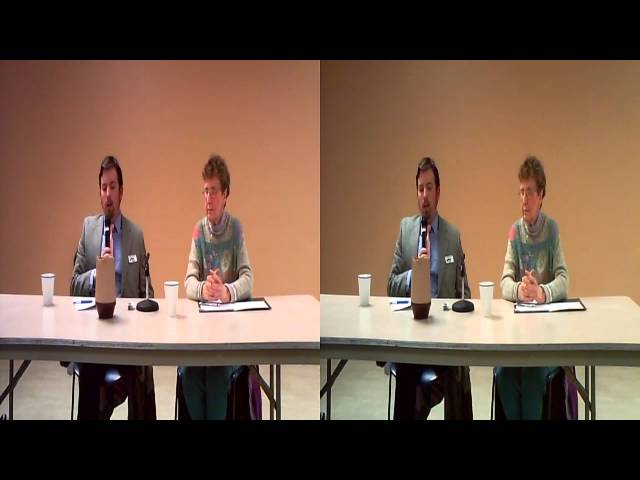 RPD12.7: Can naturalism account for qualia?