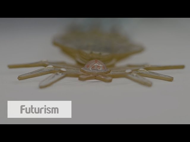 Watch This Robot Spider Come to Life