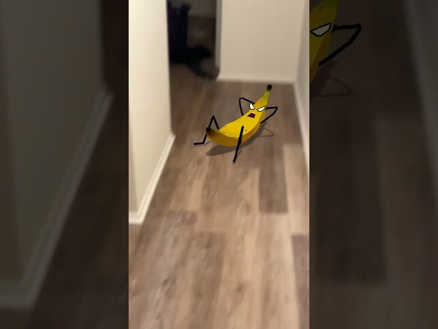 Random stuff from my camera roll