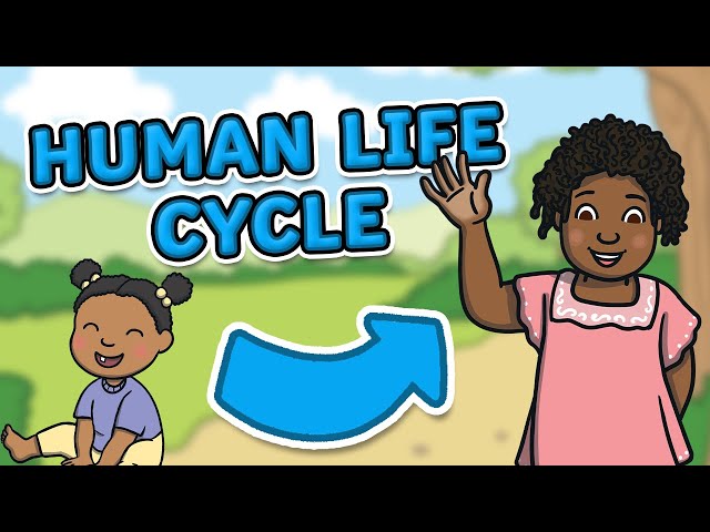 The Life Cycle of a Human | Human Life Cycle | Science for Kids!