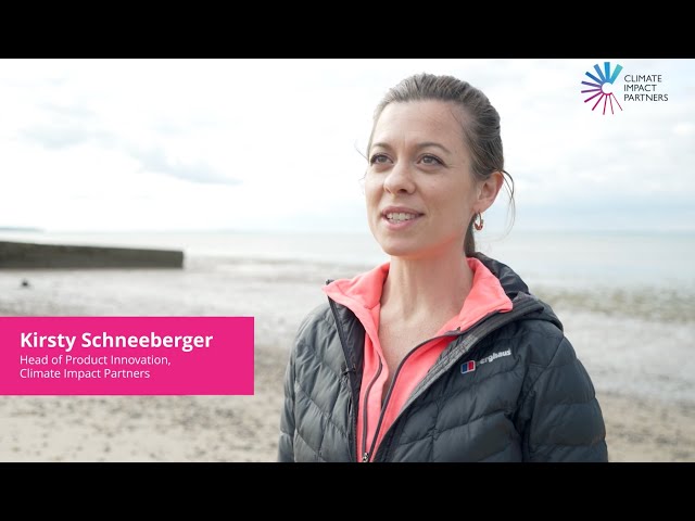 Accelerate Seagrass: Kirsty on the importance of data in seagrass restoration