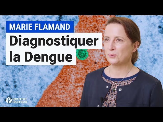 Dengue : Comment cette découverte a permis d'améliorer le diagnostic de la maladie ?| Témoignage 🥼