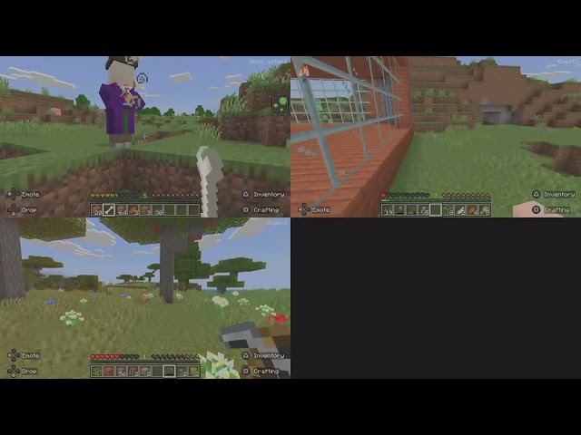 Minecraft Day 6