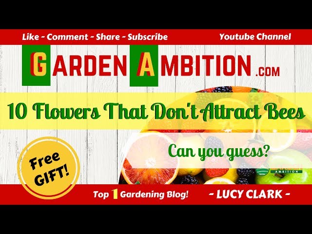 Top 10 Flowers That Don't Attract Bees