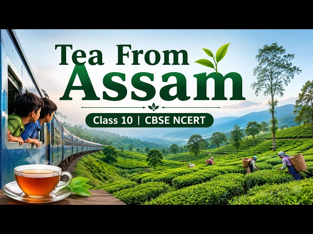 Tea From Assam | Class 10 English | CBSE NCERT | Full Lesson Explanation | Tea from Assam