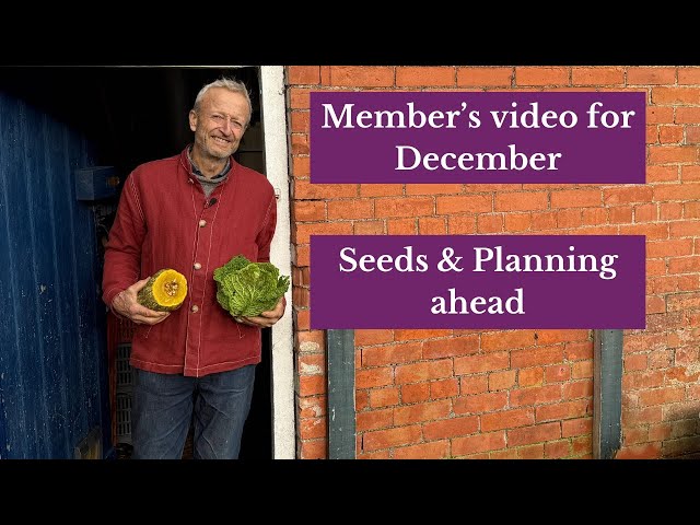 Member’s video for December