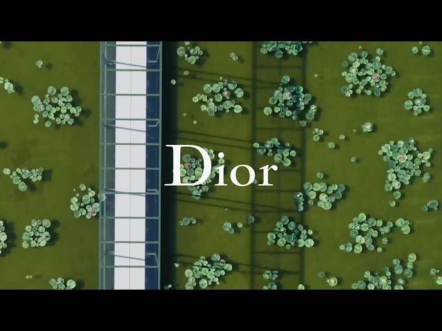 Dior 2026/2027秋冬巴黎时装周女装发布会 Dior | Fall Winter 2026/2027 | Paris Fashion Week