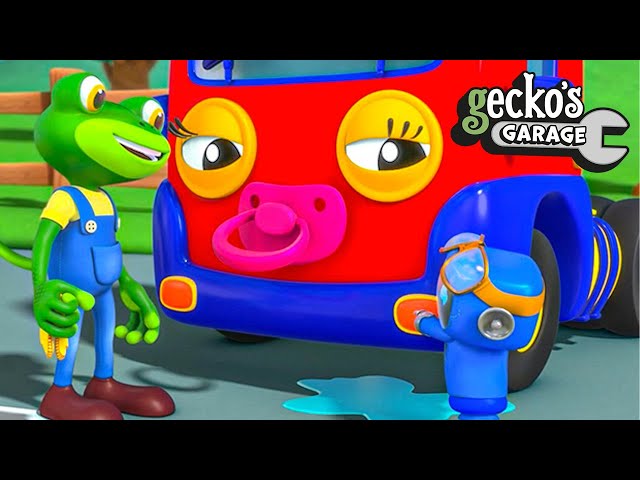 Baby Truck's Pink Dummy｜Gecko's Garage｜Funny Cartoon For Kids｜Learning Videos For Toddlers