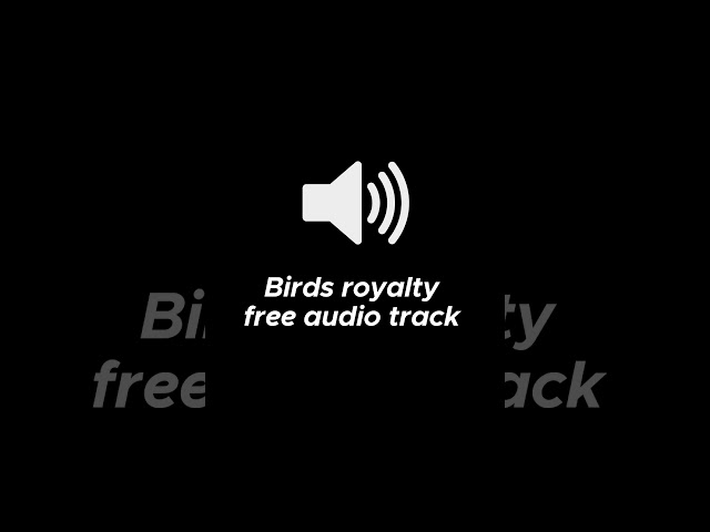 Birds Royalty Free soundtrack 😎 #freesounds #birds