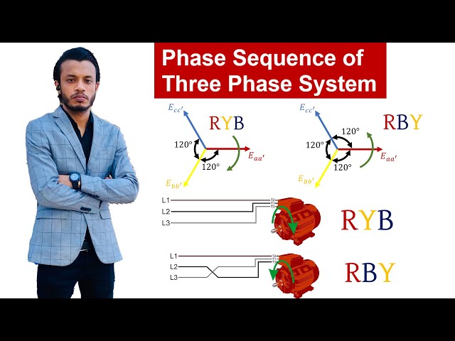 Phase Sequence of Three Phase System|| Diploma 3rd Semester - Electrical Circuit 2
