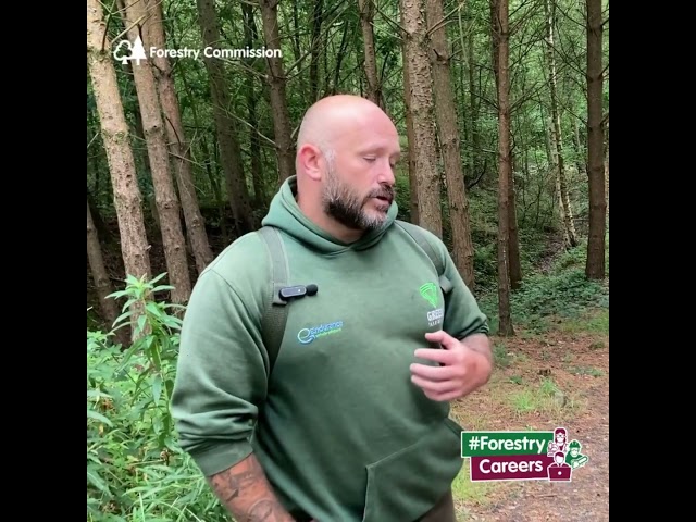 Forestry Careers - Mark's Story