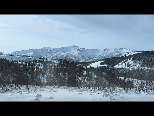 Alaska Rail Tours 03.20.26 Fairbanks to Anchorage train Part 6