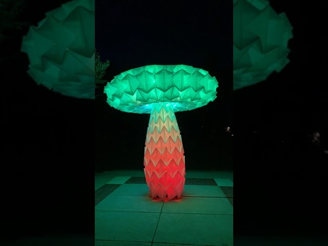 Shrumen Lumen