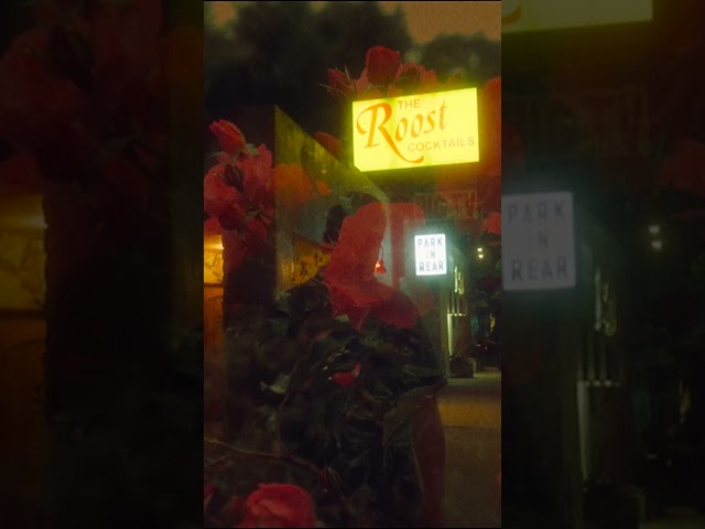 « Blue Rose » le nouveau single de @HBurnsOfficial est disponible 🌹