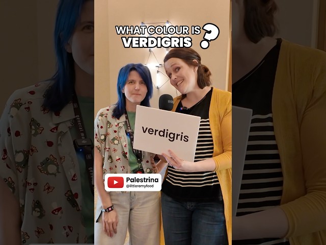What colour is VERDIGRIS? 🎨 ft. @HopeScope, @Mia Maples, @Glam Girl Gabi, @Evan and Katelyn