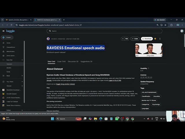 Speech Emotion Recognition Using Python & Deep Learning | MFCC + CNN