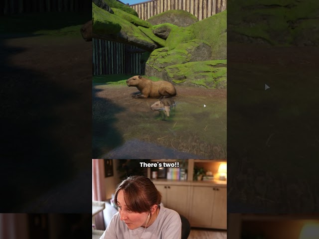 FIVE BABIES?????