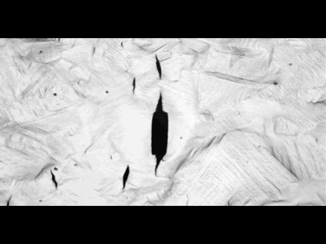 Hydrogen cracking in metastable austenitic stainless steels