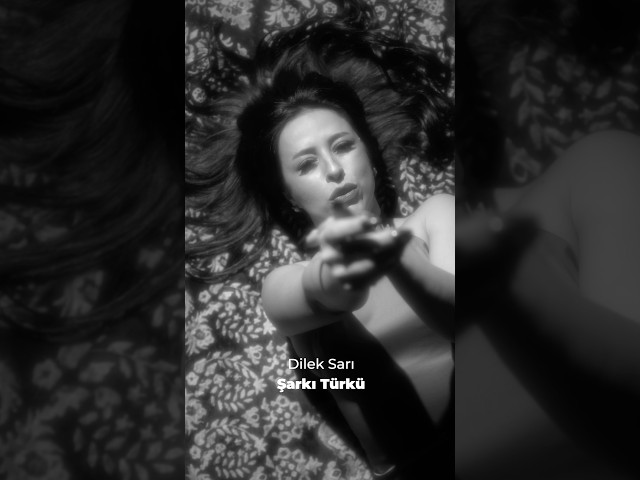 Dilek Sarı - Şarkı Türkü