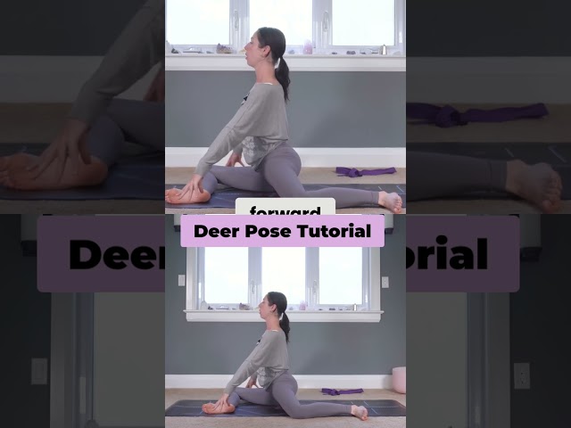 DEER POSE TUTORIAL