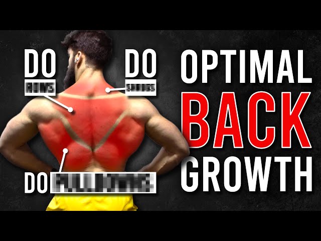 What are the BEST BACK Exercises? (Science Based)