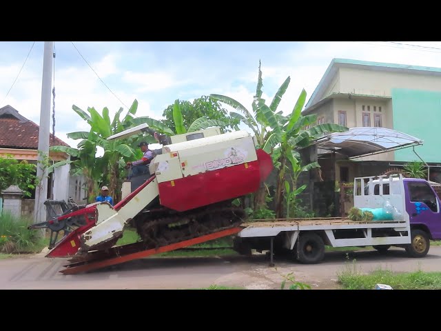 Kombi Sawah Bimo turun Towing lalu memanen - MT3 2025