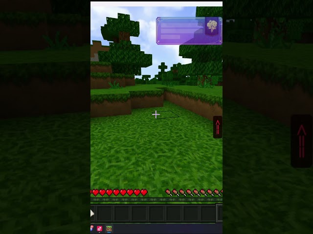 #minecraft