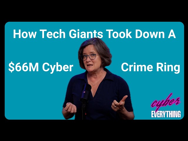 Stop Cyber Crime: Inside the Red VDS Takedown