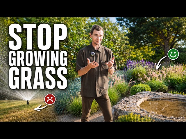 Build a Texas Yard That Thrives on Almost No Water