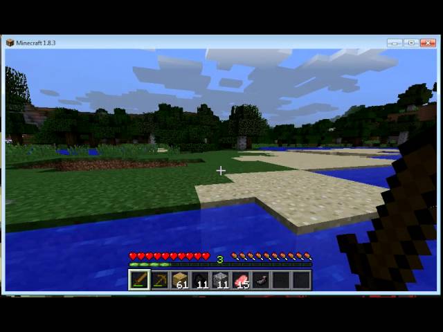 Minecraft PC-Get ink sec-(2)